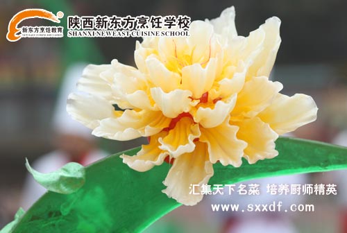 ���ջ��侫������
