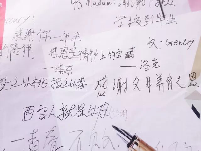 感恩节丨看陕西新东方学子如何在表白墙上”花式“秀感恩