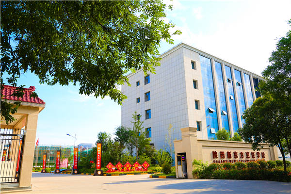 陕西新东方学厨师前景